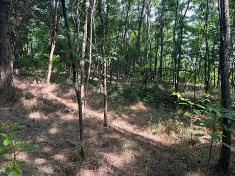 520 Todd Rd, Mount Sidney, VA 24467 photo 10