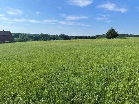 520 Todd Rd, Mount Sidney, VA 24467 photo 8