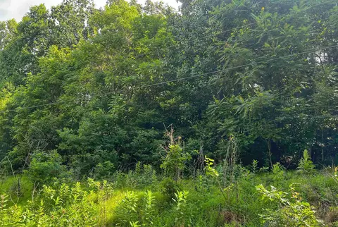 Off S Lake View Dr, Stanley, VA 22851 photo 3