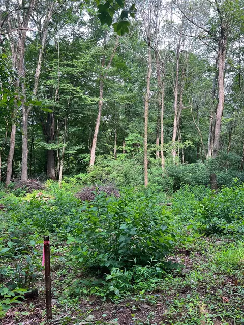 Off S Lake View Dr, Stanley, VA 22851