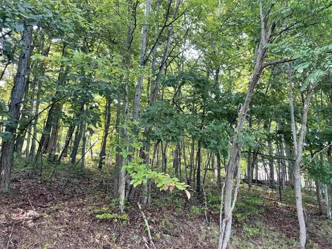 Chinquapin Dr, Lyndhurst, VA 22952