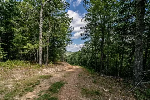 0 Broad Run Rd, Brandywine, VA 26802 photo 17