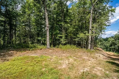 0 Broad Run Rd, Brandywine, VA 26802 photo 19