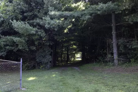 Tbd Pine Grove Rd, Stanley, VA 22851 photo 10