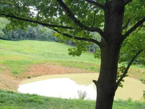 Tbd Pine Grove Rd, Stanley, VA 22851 photo 58