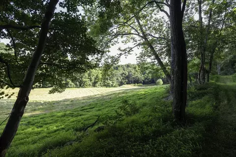 Tbd Pine Grove Rd, Stanley, VA 22851 photo 19