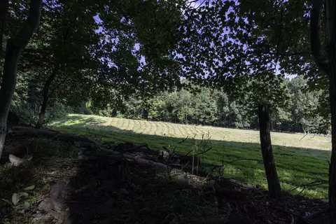 Tbd Pine Grove Rd, Stanley, VA 22851 photo 18
