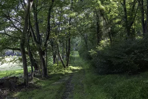 Tbd Pine Grove Rd, Stanley, VA 22851 photo 17