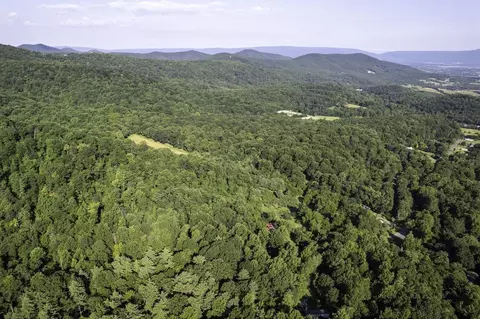 Tbd Pine Grove Rd, Stanley, VA 22851 photo 49