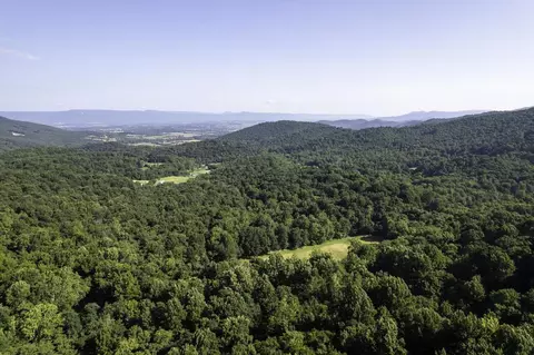 Tbd Pine Grove Rd, Stanley, VA 22851 photo 41