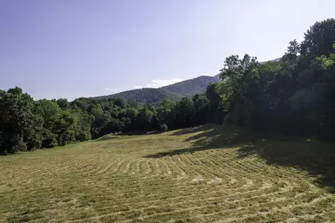 Tbd Pine Grove Rd, Stanley, VA 22851 photo 21