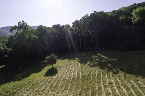 Tbd Pine Grove Rd, Stanley, VA 22851 photo 24