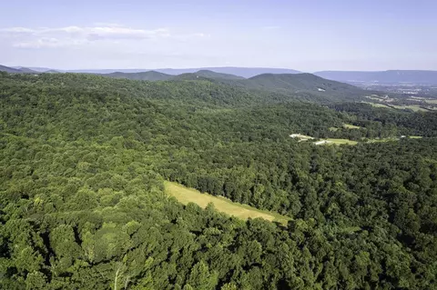Tbd Pine Grove Rd, Stanley, VA 22851 photo 42