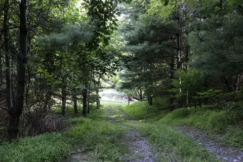 Tbd Pine Grove Rd, Stanley, VA 22851 photo 11