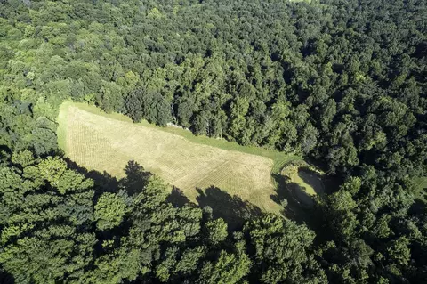 Tbd Pine Grove Rd, Stanley, VA 22851 photo 44