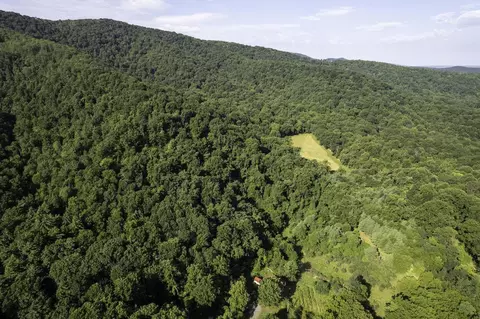 Tbd Pine Grove Rd, Stanley, VA 22851 photo 50