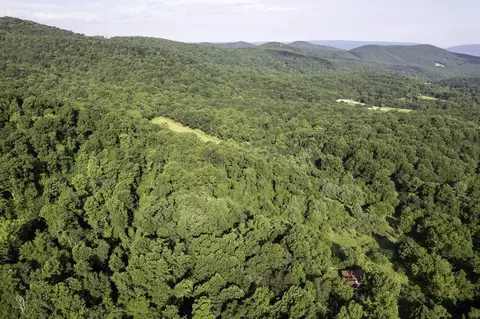 Tbd Pine Grove Rd, Stanley, VA 22851 photo 31