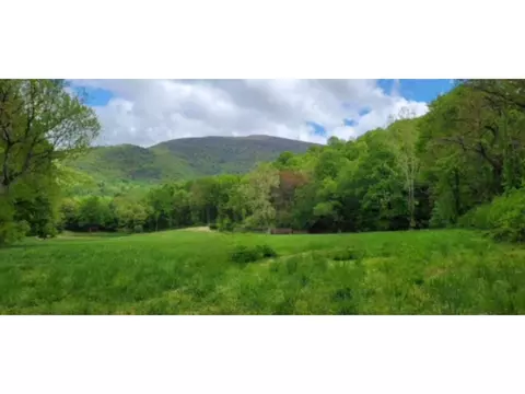 Tbd Pine Grove Rd, Stanley, VA 22851 photo 12