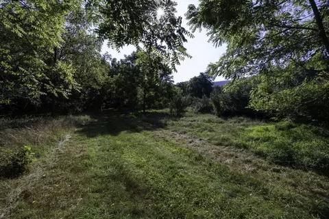 Tbd Pine Grove Rd, Stanley, VA 22851 photo 6