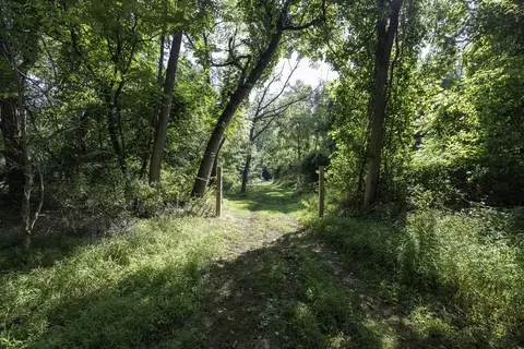 Tbd Pine Grove Rd, Stanley, VA 22851 photo 4