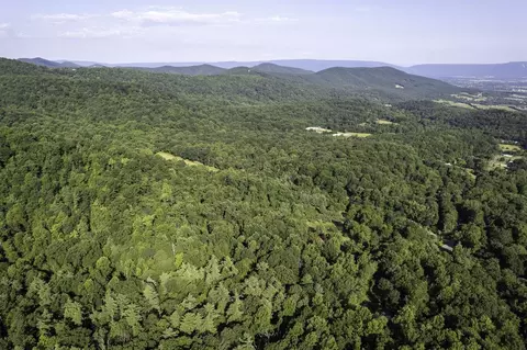 Tbd Pine Grove Rd, Stanley, VA 22851 photo 51
