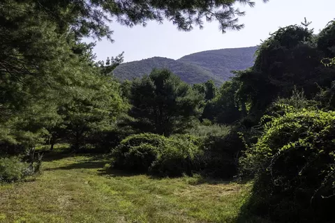 Tbd Pine Grove Rd, Stanley, VA 22851 photo 8