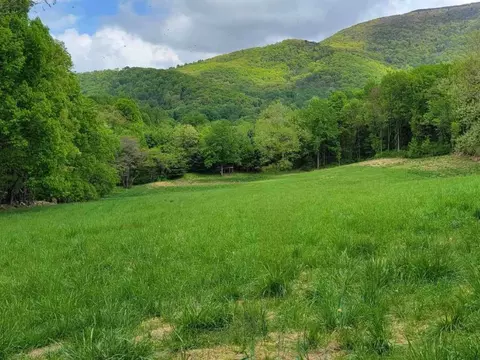 Tbd Pine Grove Rd, Stanley, VA 22851 photo 56