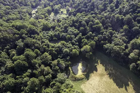Tbd Pine Grove Rd, Stanley, VA 22851 photo 46