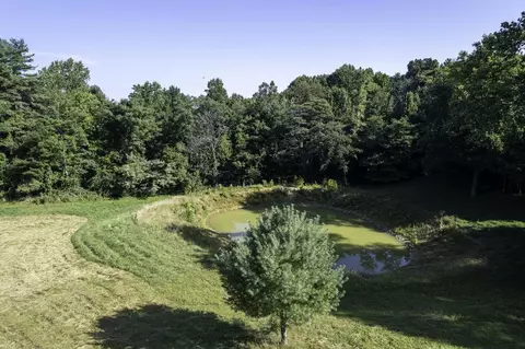 Tbd Pine Grove Rd, Stanley, VA 22851 photo 23