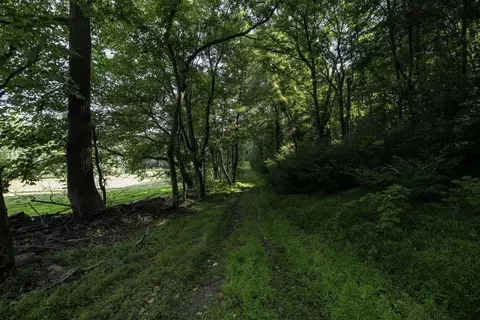 Tbd Pine Grove Rd, Stanley, VA 22851 photo 16