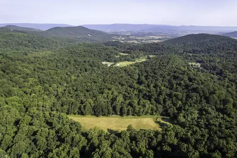 Tbd Pine Grove Rd, Stanley, VA 22851 photo 40