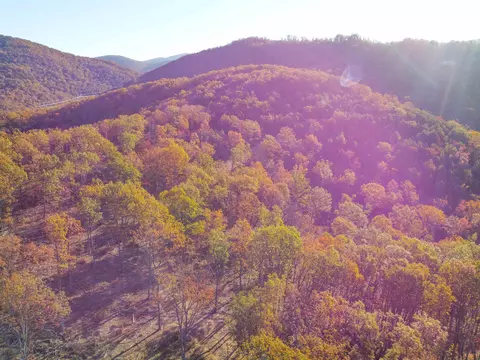 Tbd Calf Mountain Rd, Waynesboro, VA 22980