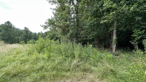 616 Midvale Hl, Vesuvius, VA 24483