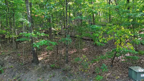 19 Dale Drive, Basye, VA 22810