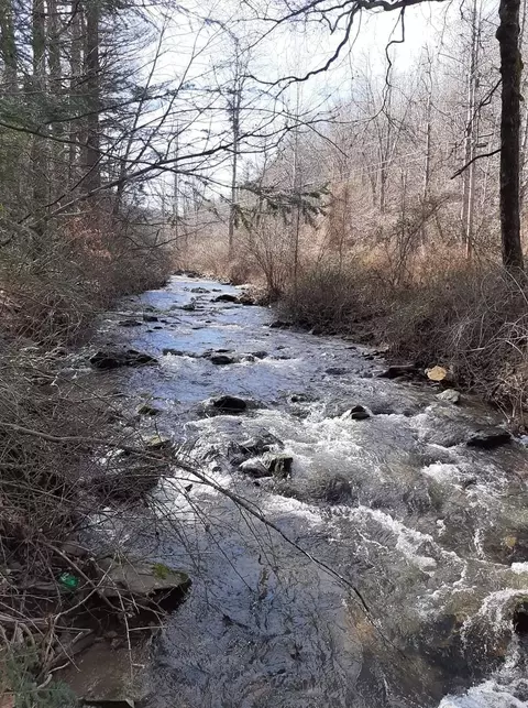 337 Reeds Gap Rd, Lyndhurst, VA 22952