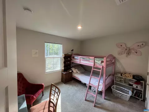 25 Pine Knot Dr, Palmyra, VA 22963 photo 17