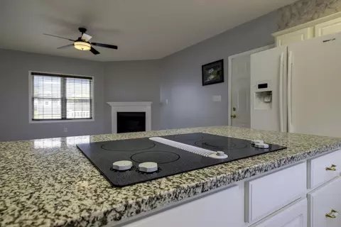 233 Fleming Rd, Mount Jackson, VA 22842 photo 7