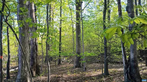 0 Pattie Rd, Buckingham, VA 23921
