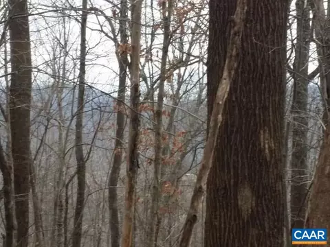Black Walnut Dr, Nellysford, VA 22958