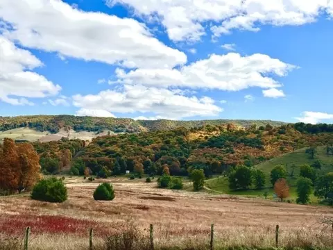 8808 Blue Grass Valley Rd, Blue Grass, VA 24413