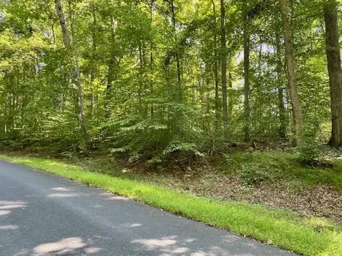 Tbd Beechnut Dr, Louisa, VA 23093 photo 5