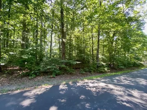 Tbd Beechnut Dr, Louisa, VA 23093 photo 4