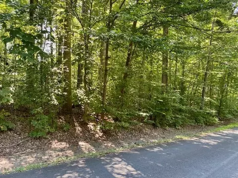 Tbd Beechnut Dr, Louisa, VA 23093 photo 3