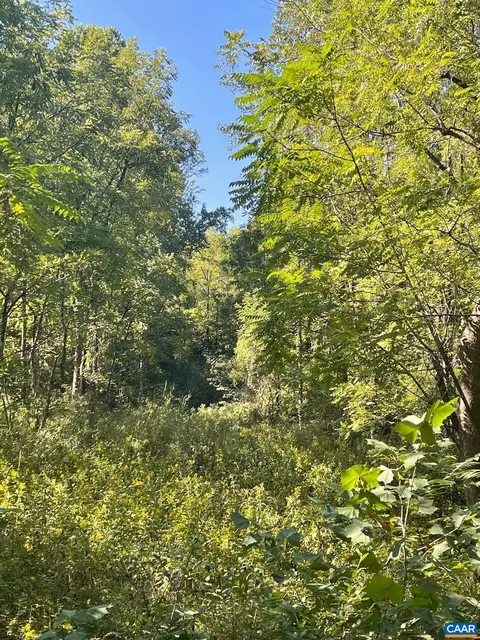 Tbd Stony Point Pass, Keswick, VA 22947