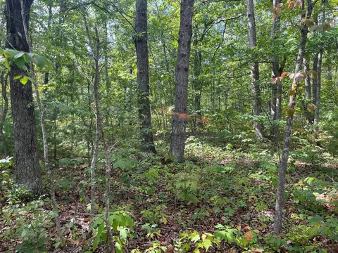 Tbd Gerties Ln, Stuarts Draft, VA 24477