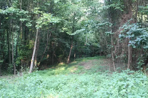 Tbd Big Hill Rd, Mount Solon, VA 22843