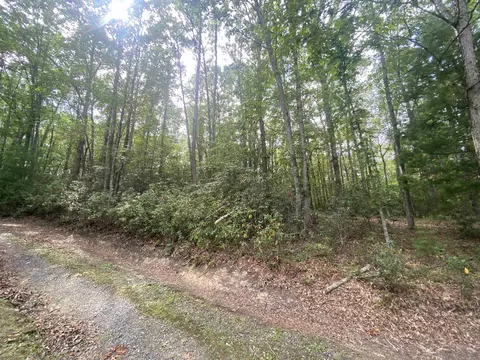 tbd Hunters Rd, Williamsville, VA 24487