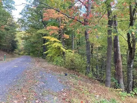 0 Brenda Ln Apt 159 Section 11 #159, SECTION 11, Basye, VA 22810
