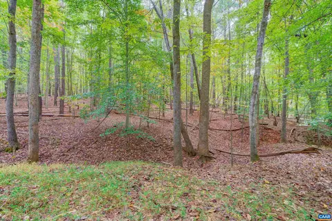 1925 Pheasant Ln, Charlottesville, VA 22901 photo 65