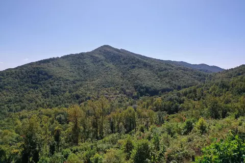 Tbd Wagon Trail Rd, Monroe, VA 24574